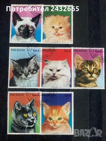 251а. Парагвай 1984 ~ “ Фауна. Котки. “