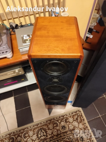 Canton Ergo SC-L (cherry), снимка 12 - Тонколони - 52642387