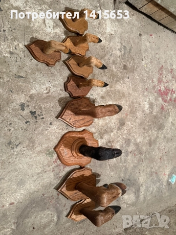 Продавам дървени закачалки, снимка 2 - Други ценни предмети - 52502508