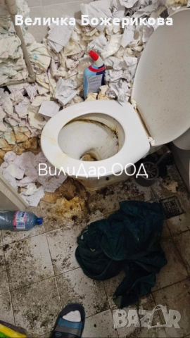 Хамалски услуги , снимка 9 - Хамалски услуги - 52119197