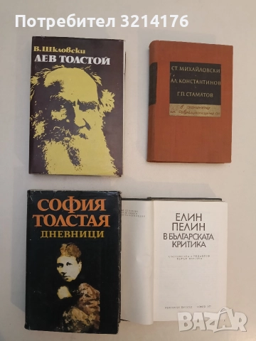 Дневници: 1862-1910 - София Толстая