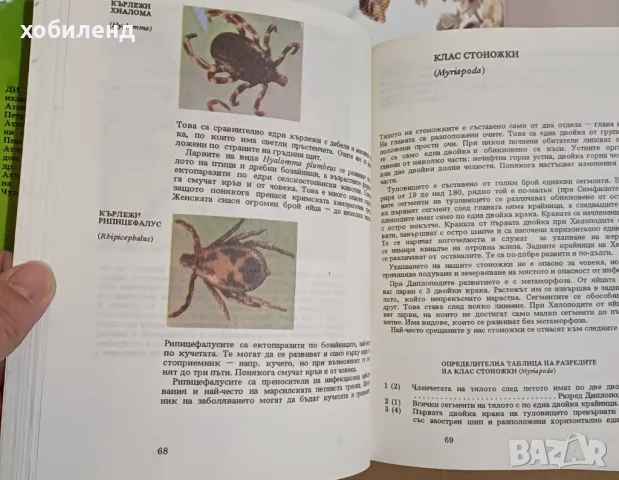 Атлас по зоология-безгръбначни, снимка 3 - Енциклопедии, справочници - 49227205