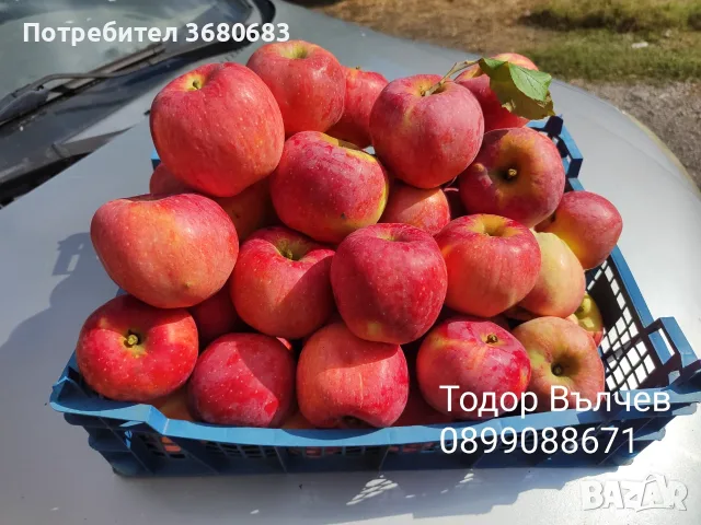 Ябълки превъзходен вкус и аромат