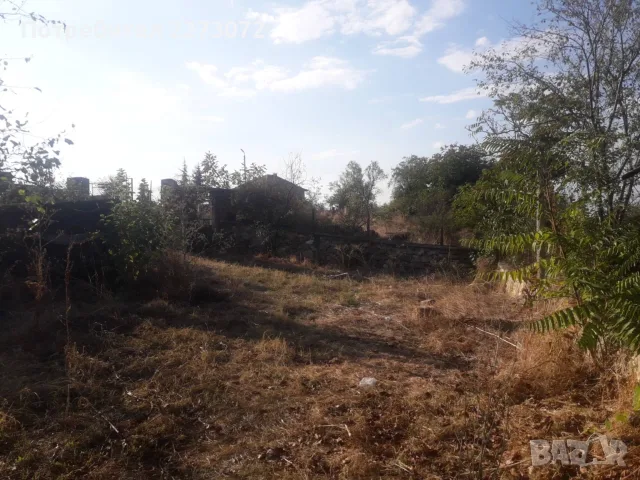 Къща в село Помощник, снимка 12 - Къщи - 56154608