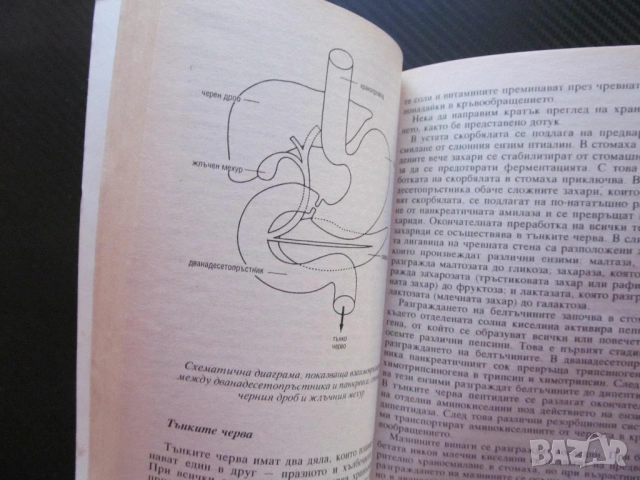 Основни принципи на разделното хранене сигурни проверени диети хранителни комбинации храносмилане, снимка 2 - Други - 53669008