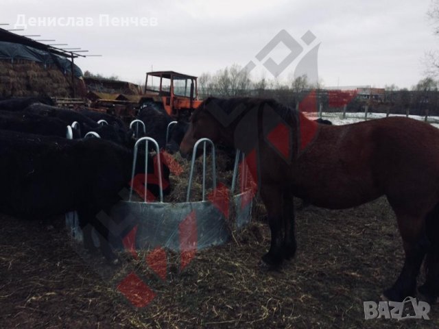 Кръгла пасищна хранилка за крави или коне PH-12S, снимка 9 - За селскостопански - 34653833