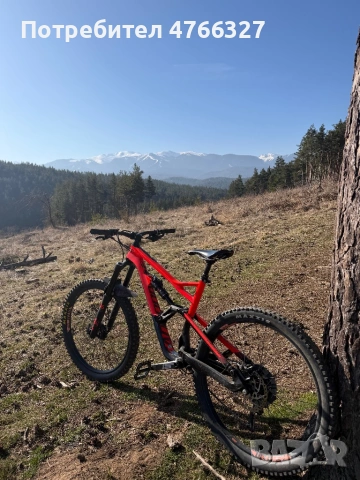 Canondell jetsky 3 Carbon 