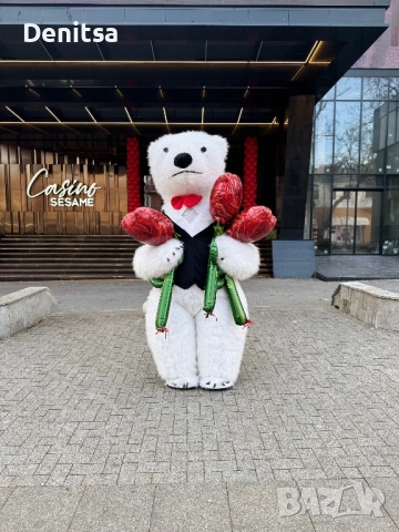 Парти изненада с Бяло Мече & Гига Панда,Стич и други за област Варна, снимка 2 - Други - 48661197