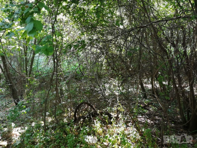 Парцел в с. Скриняно - на 3 км. от гр. Кюстендил, снимка 4 - Парцели - 46334005