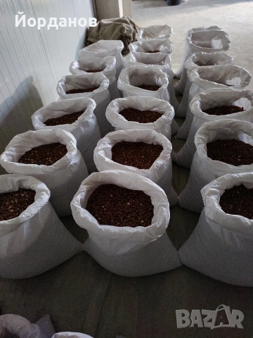 Български лешници без черупка - реколта 2025 г.