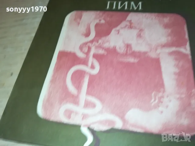 ИСТОРИЯТА НА АРТЪР ГОРДЪН ПИМ 2912241500, снимка 3 - Художествена литература - 48489208