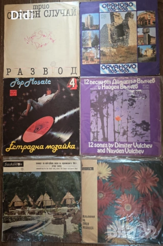 Грамофонни плочи, снимка 8 - Грамофонни плочи - 45320033