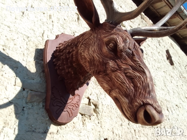 Поставка за трофей от диво прасе, Дървена поставка за трофей, Дъска за трофей от глиган, снимка 7 - Декорация за дома - 52140889