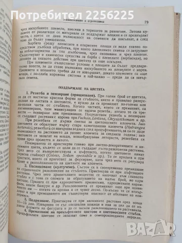 Цветарство 1957г - Гена Папазова - Антонова, снимка 6 - Специализирана литература - 56271495