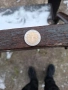 продавам монета , снимка 2