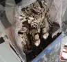 Трансформърс Transformers, снимка 4