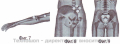 Неогард лайф - магнитен уред за защита и терапия - TS0264, снимка 5
