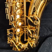 Saxofone alto Eb Weril Spectra A931 Made In Sao Paulo - алт сакс с куфар - ПЕРФЕКТЕН, снимка 17 - Духови инструменти - 42010073