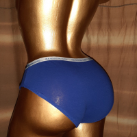 Резервирани FASHION GIRL М Сини бикини с щампа пандела, снимка 4 - Бельо - 36119630