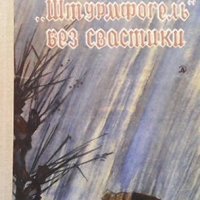 Штурмфогель без свастики Евгений Федоровский, снимка 1 - Художествена литература - 41084651