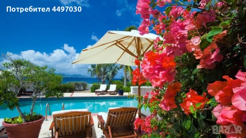 Препарати и аксесоари за басейни, снимка 1