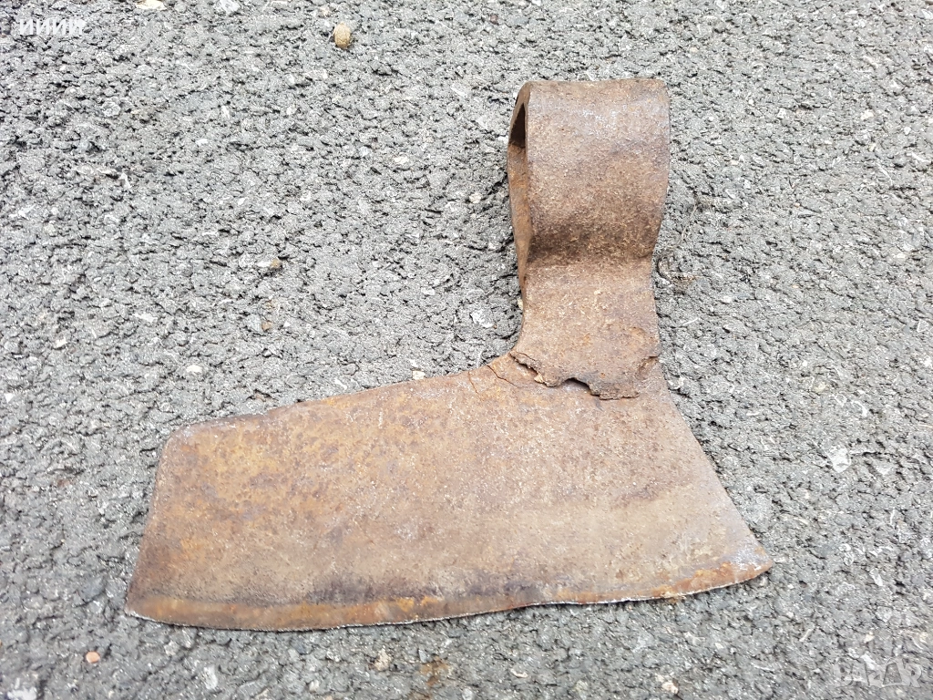 Брадва кривица , снимка 1