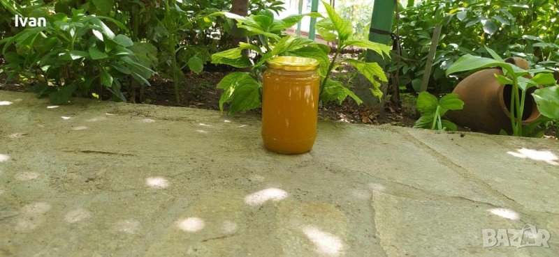 Пчелен мед реколта 2025г купи 5 бр. и вземи + 1бр. безплатен, снимка 1