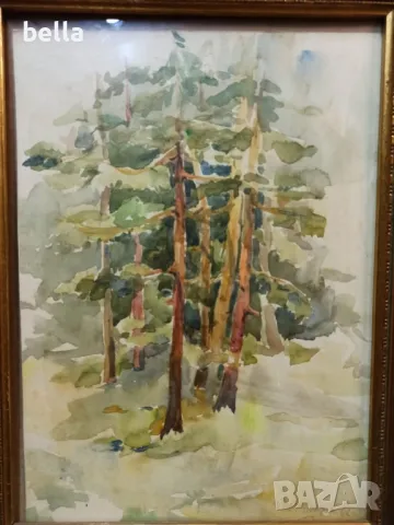 Стар български акварел на художника Тодор Димитров 62 год , снимка 2 - Антикварни и старинни предмети - 48739263