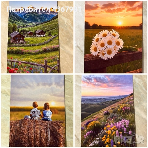 Копиране на снимки 50 снимки 5евро, снимка 3 - Чанти, стативи, аксесоари - 53206687