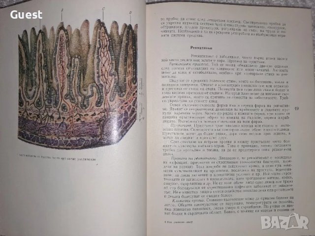 Нов домашен лекар, снимка 4 - Специализирана литература - 49531764