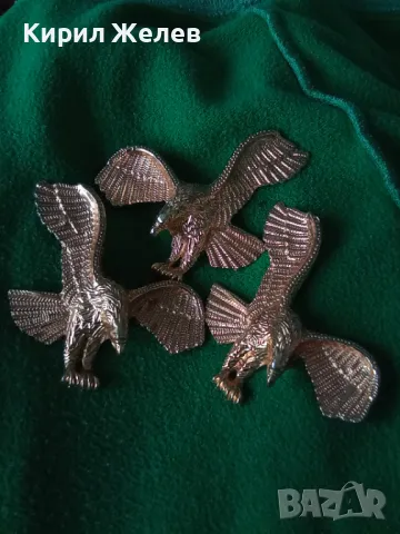 ЛОТ ТРИ ПОЗЛАТЕНИ МЕТАЛНИ ФИГУРАЛНИ АРТ АПЛИКАЦИИ ФИГУРКА на ЛЕТЯЩ ОРЕЛ 15422, снимка 12 - Колекции - 38127282