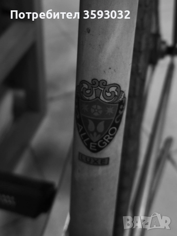 Ретро юбилеен модел allegro , снимка 11 - Антикварни и старинни предмети - 51805973