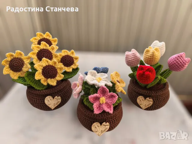 Плетени цветя в саксии