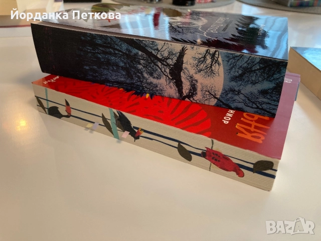 Книги за детско развитие и други художествени, снимка 11 - Художествена литература - 52839053