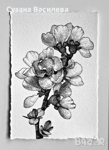 Нежни графични рисунки на цветя – ръчна изработка, снимка 7 - Картини - 53852610