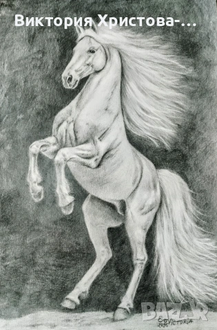 Картина Кон с молив 