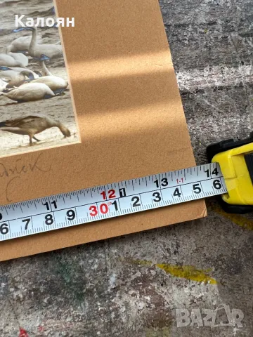 Фотография с паспарту на американския фотограф Артур Кендрик, снимка 8 - Антикварни и старинни предмети - 49977598