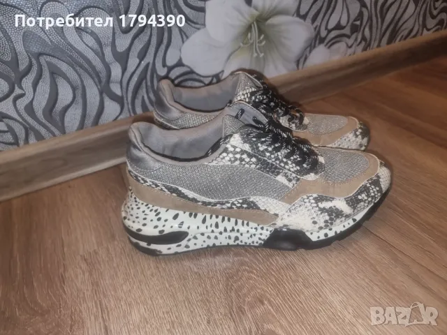 Обувки Steve Madden, снимка 2 - Дамски ежедневни обувки - 48274861