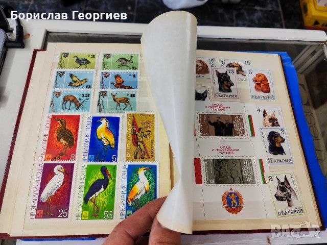 Класьор с пощенски марки, снимка 4 - Филателия - 44629106