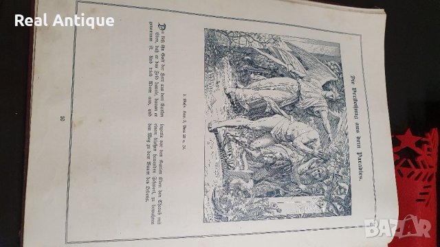 Прекрасна антикварна немска картинна библия , снимка 6 - Антикварни и старинни предмети - 39105262