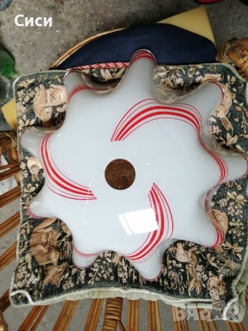 полилеи с два цвята висящ, снимка 2 - Полилеи - 42290070