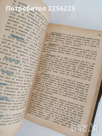 Ръководство по обща ботаника 1898г, снимка 8 - Специализирана литература - 55840243