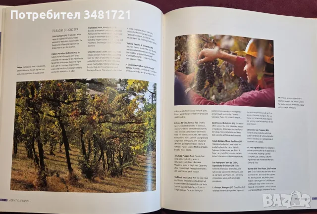 The New Italy. A Complete Guide to Contemporary Italian Wine, снимка 10 - Кулинария - 55817326