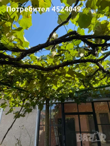 Къща в Зверино , снимка 5 - Къщи - 50919642