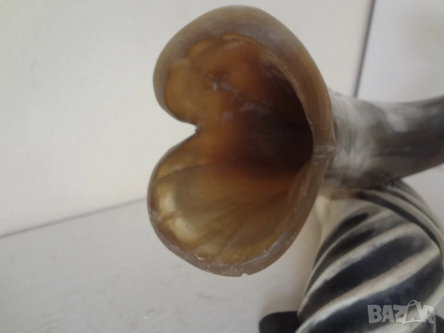 Фигура на риба - статуетка от животински рога, снимка 3 - Колекции - 53344555