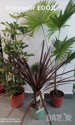 💥ПРОМО КОМПЛЕКТ💥