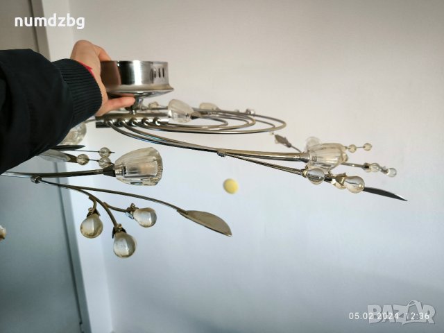 различни видове полилеи, снимка 6 - Полилеи - 44149964