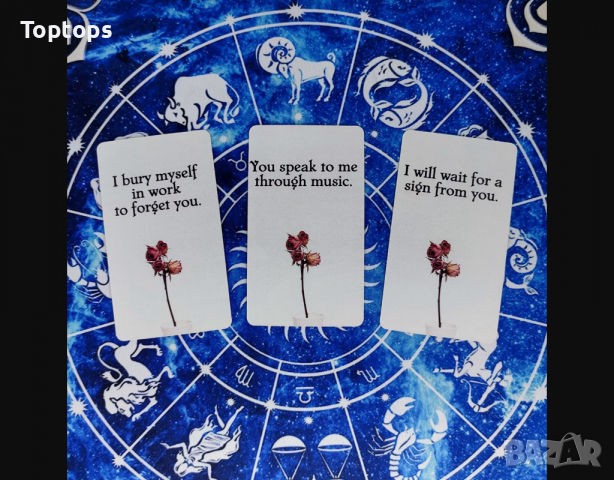 Съвременни оракул карти:Hidden Truth Oracle & Rebel Deck & Pantha Oracle, снимка 5 - Други игри - 36331074