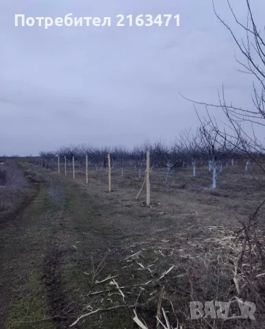 Земеделска земя/Овощна градина, снимка 2 - Земеделска земя - 55963859