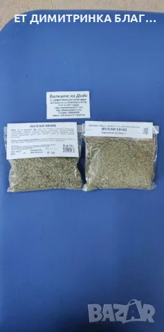 Полски хвощ при язва на стомаха и дванадесетопръстника, хипертония, сърдечна недостатъчност, пневмон